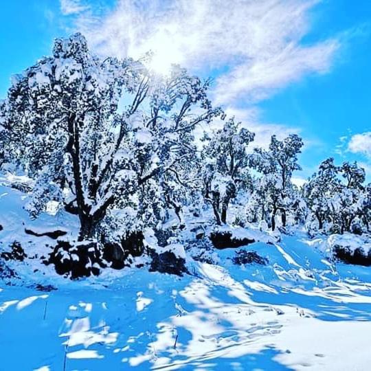 Dar Casa Plasa Grande Chefchaouen Buitenkant foto